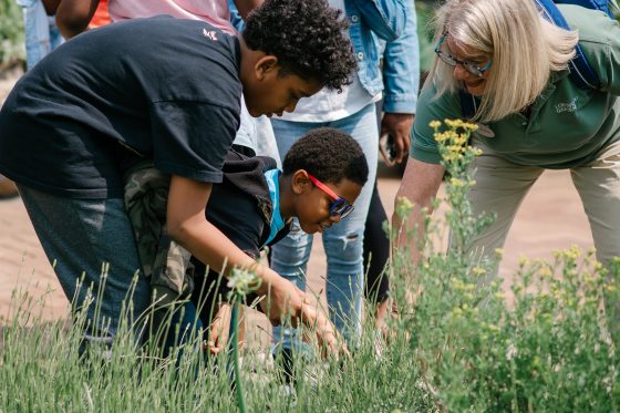 Several people bending over looking at plants and flowers. 